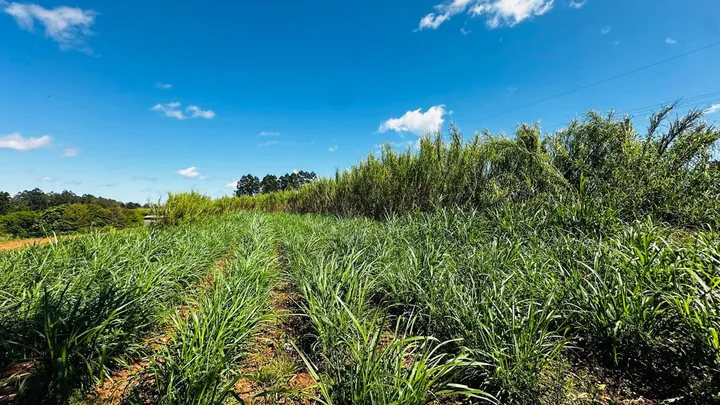 Chácara 2.3 hectares próximo a BR-287 Boca do Monte